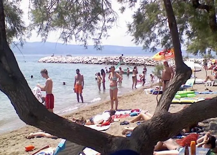 Bubalo * Omiš